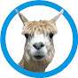 Llama