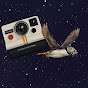 Polaroid Puffin