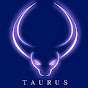 TaurusPlayer