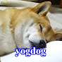 yog dog / よぐ