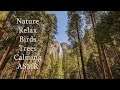 Nature sounds to relax, unwind, ASMR - 4 hours - BLACK SCREEN - background noise