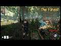 The Forest #85 Bambifelle aufteilen [Deutsch german Gameplay]