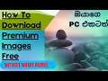 How To Download Premium Images Free (Free Premium Images ඔයාගෙ PC එකටත්)