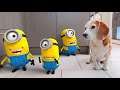 Minions and more REAL LIFE Animations!