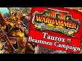 TAUROX BEASTMEN CAMPAIGN! Total War Warhammer 2: Taurox Mortal Empires Campaign Gameplay