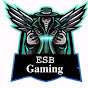 ESB GAMING