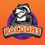 Racoons