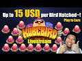 Kubebird - play to Earn NFT Game - Hatching 15 USD per Bird livestream