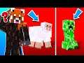 VREI SA STII CE MOB ESTI IN MINECRAFT? Eu Am Aflat! GHICESTI?