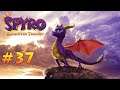 Verlies von Buzz 🐉 Spyro Reignited Trilogy #37 [Spyro Year of the Dragon] [100%/blind/deutsch/2k]