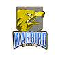 Gaming with Warbird
