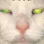 Ne:oN EyE