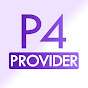 P4 Provider