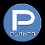 planta media