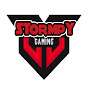 Stormpy Gaming