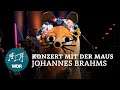 Das Konzert mit der Maus: Brahms | WDR Sinfonieorchester | WDR Musikvermittlung