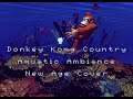 Aquatic Ambiance: New Age Cover FT Ruscel Torres (Donkey Kong Country)