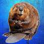 A Beaver