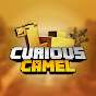 Curious Camel