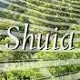 Shuia