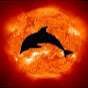 Solar Dolphin