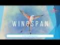 Wingspan [PC] - Live Tutorial & Gameplay