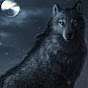 Álvaro the wolf of the night