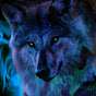 Balbow Wolf