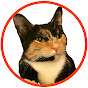 Meow Meow's Zombie Survival Guide