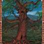OldWillowScrub