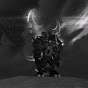Thorlaw