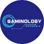 Gaminology Indonesia
