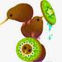 Kiwi Birb