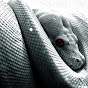 Leadreptile