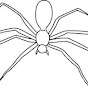 NPC2Hope_spider