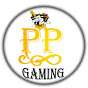 PP gaming video