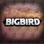 Big Bird DayZ 