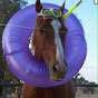 CAVALO MODDERS