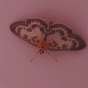hello friend 