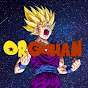 ORGOHAN  VR