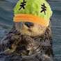 TheOtterIsReal