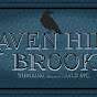 Raven HillBrook inc