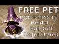 FREE PET Wizard Gosphy Don't Miss it!! :Black Desert Online
