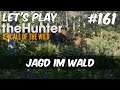 the Hunter Call of the Wild #161 - Jagd im Wald [Gameplay | Deutsch]