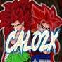 Calo2x