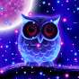 Magic Owl Slayer 453