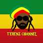 TerEnz Channel