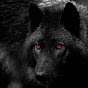 xdarkwolf101