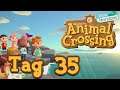 Animal Crossing: New Horizons [Stream] - Tag 35: K.K. bei Mitternacht