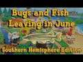 Every Bug and Fish Leaving in June on the Southern Hemisphere: Animal Crossing New Horizons
